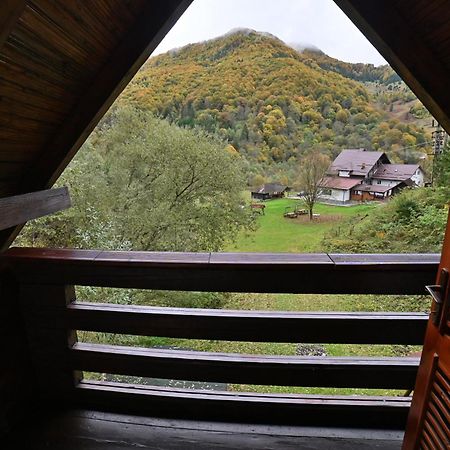 Casa De Vacanta Satic Piatra Craiului La Doi Viermi Extérieur photo