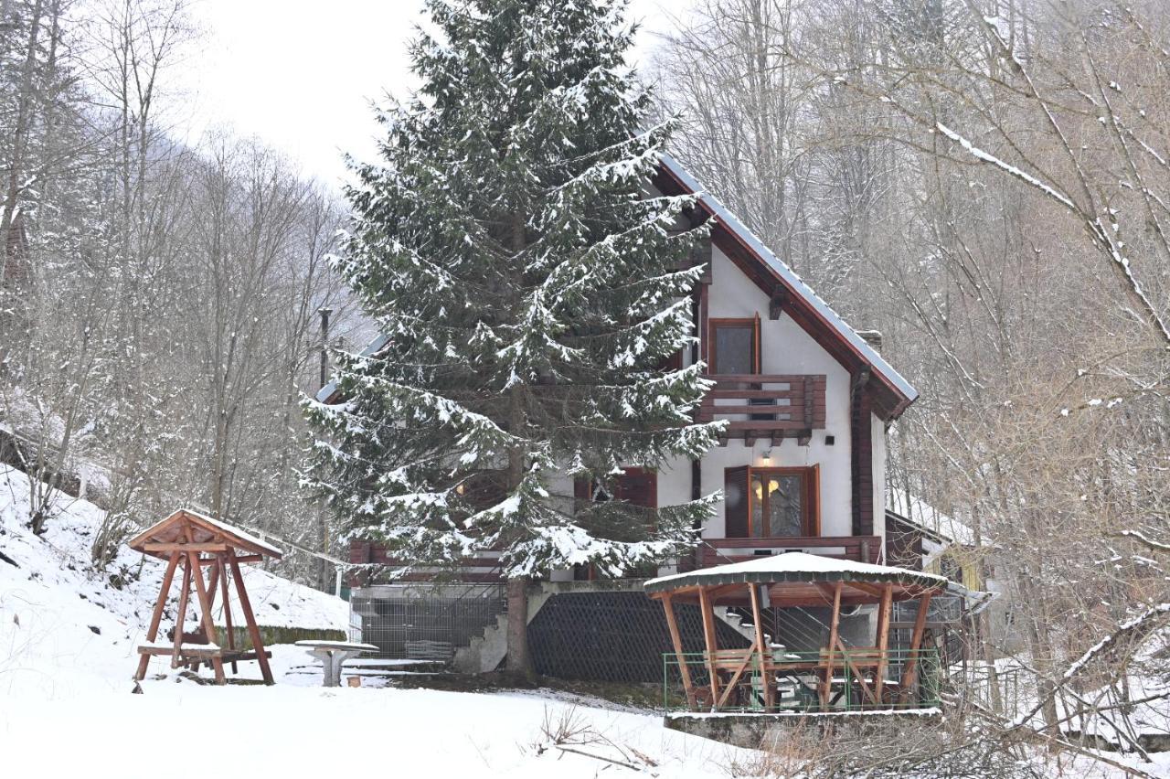 Casa De Vacanta Satic Piatra Craiului La Doi Viermi Extérieur photo