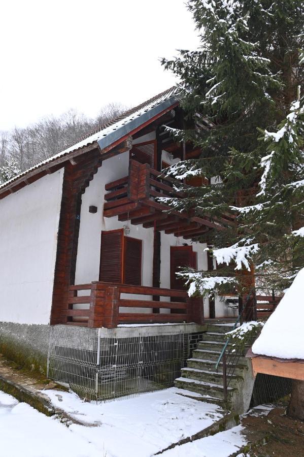 Casa De Vacanta Satic Piatra Craiului La Doi Viermi Extérieur photo