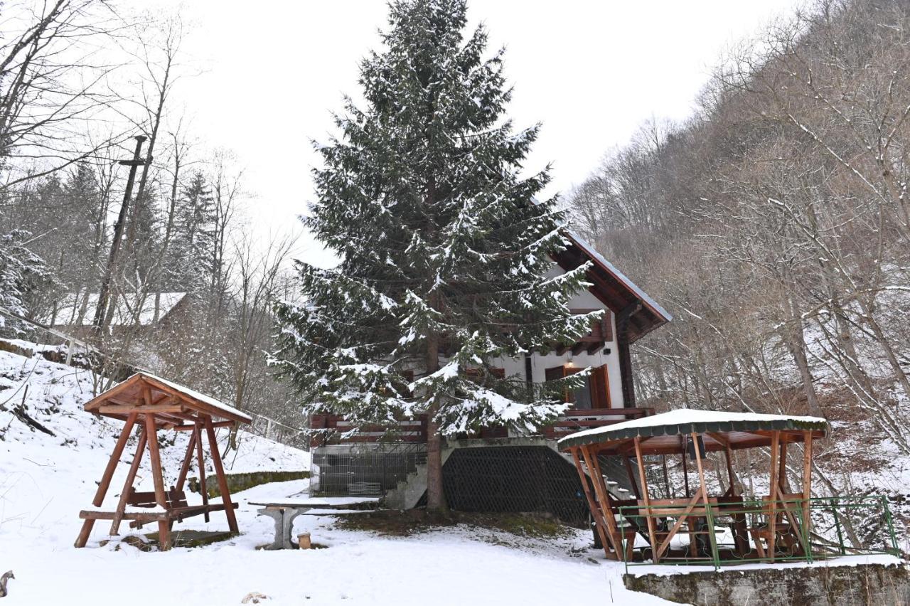 Casa De Vacanta Satic Piatra Craiului La Doi Viermi Extérieur photo