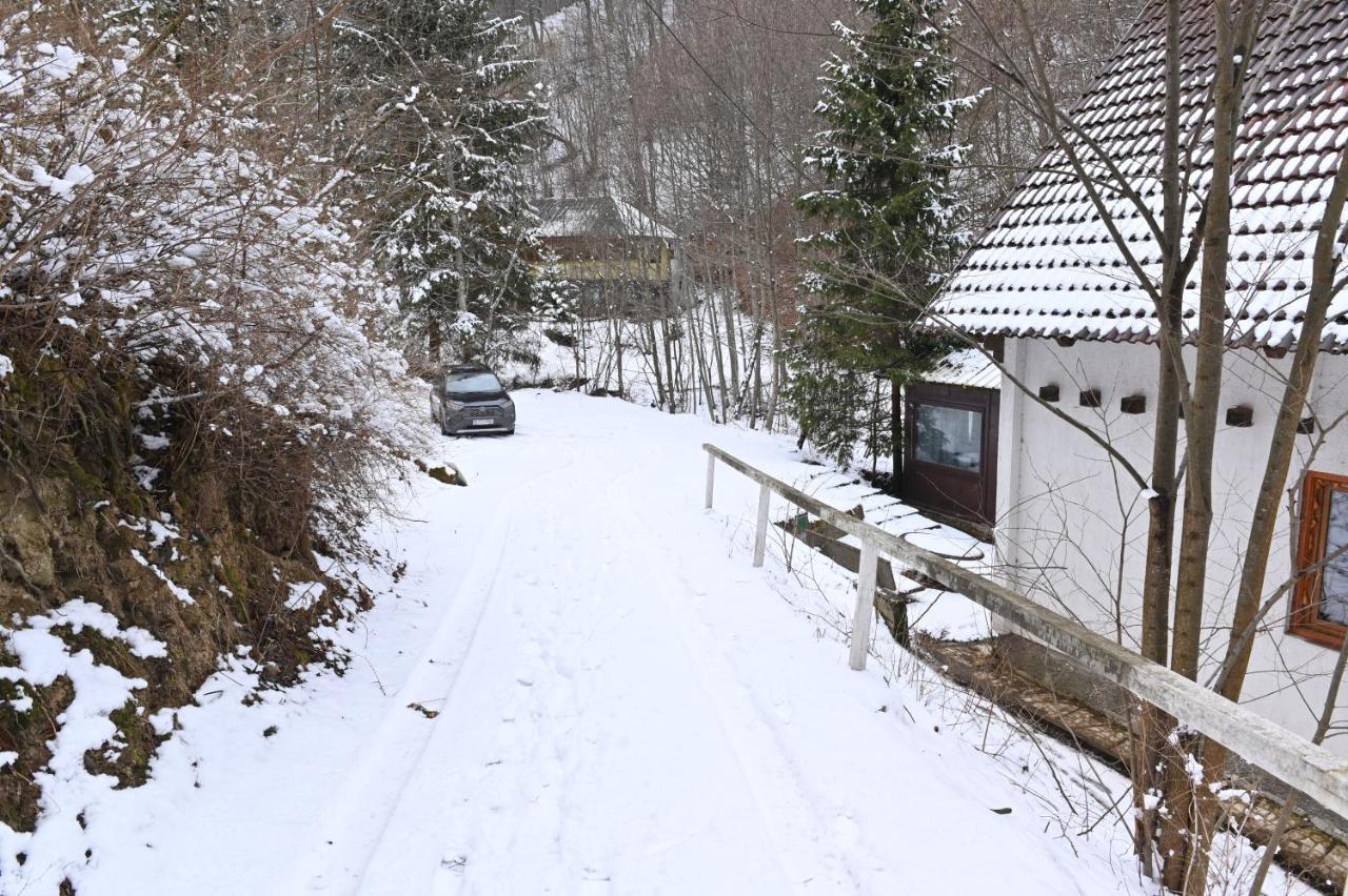 Casa De Vacanta Satic Piatra Craiului La Doi Viermi Extérieur photo