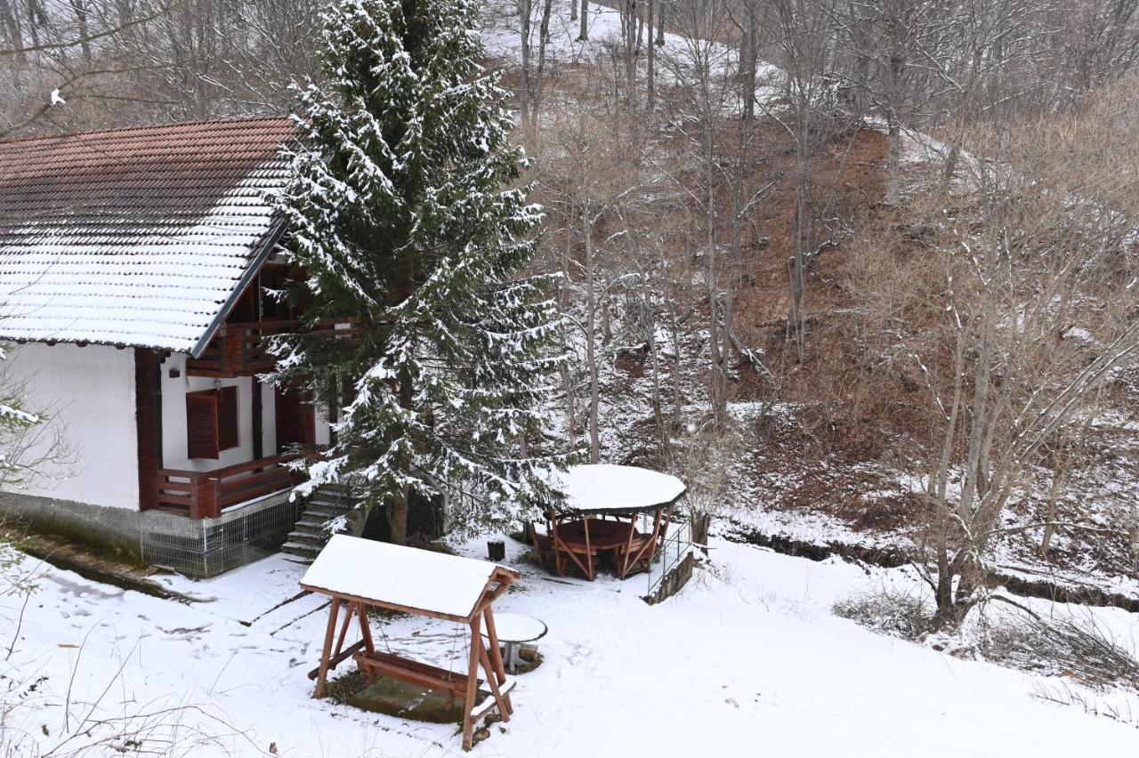 Casa De Vacanta Satic Piatra Craiului La Doi Viermi Extérieur photo