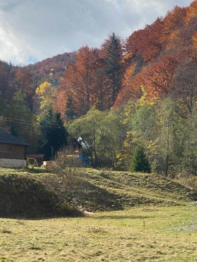Casa De Vacanta Satic Piatra Craiului La Doi Viermi Extérieur photo