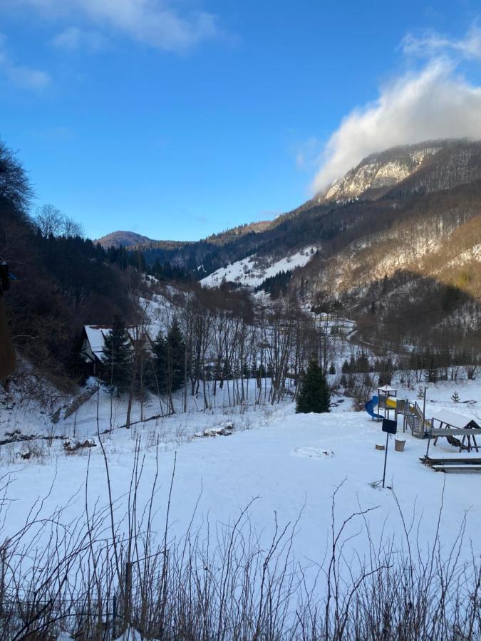 Casa De Vacanta Satic Piatra Craiului La Doi Viermi Extérieur photo