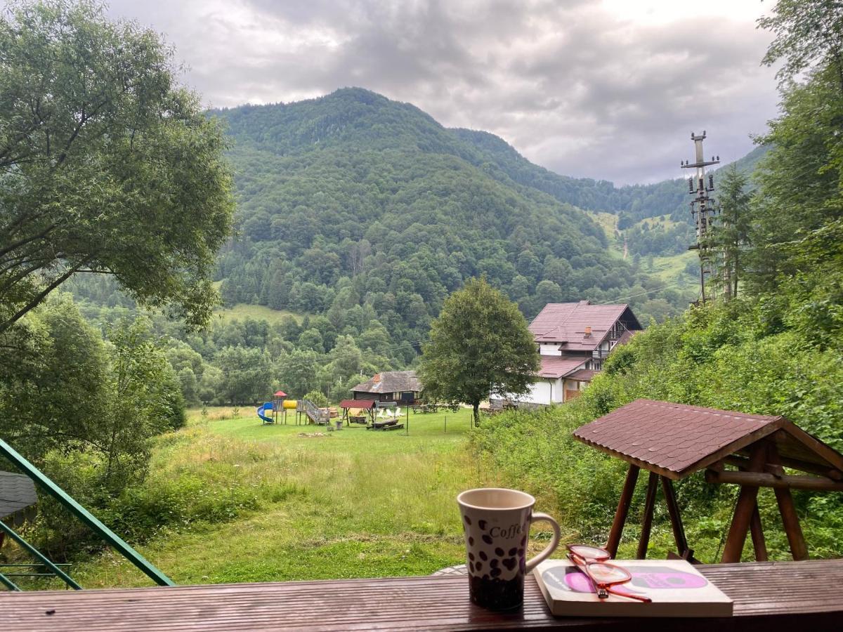 Casa De Vacanta Satic Piatra Craiului La Doi Viermi Extérieur photo